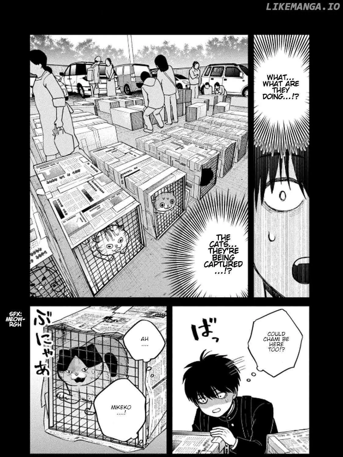 Cat Partners: Maruru And Hachi Chapter 36 page 13 - 