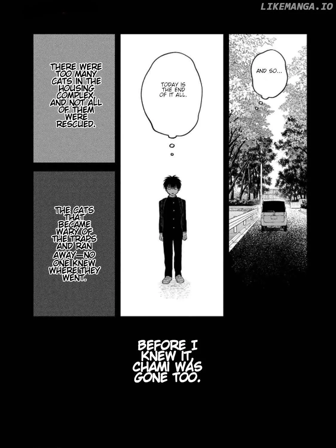 Cat Partners: Maruru And Hachi Chapter 36 page 27 - 