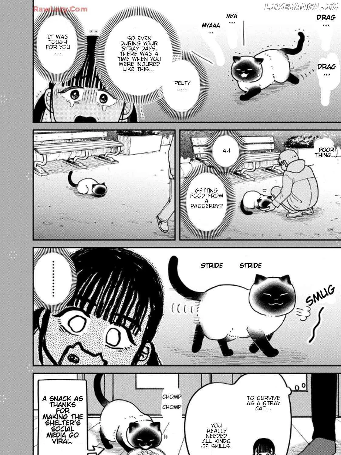 Cat Partners: Maruru And Hachi Chapter 36 page 39 - 