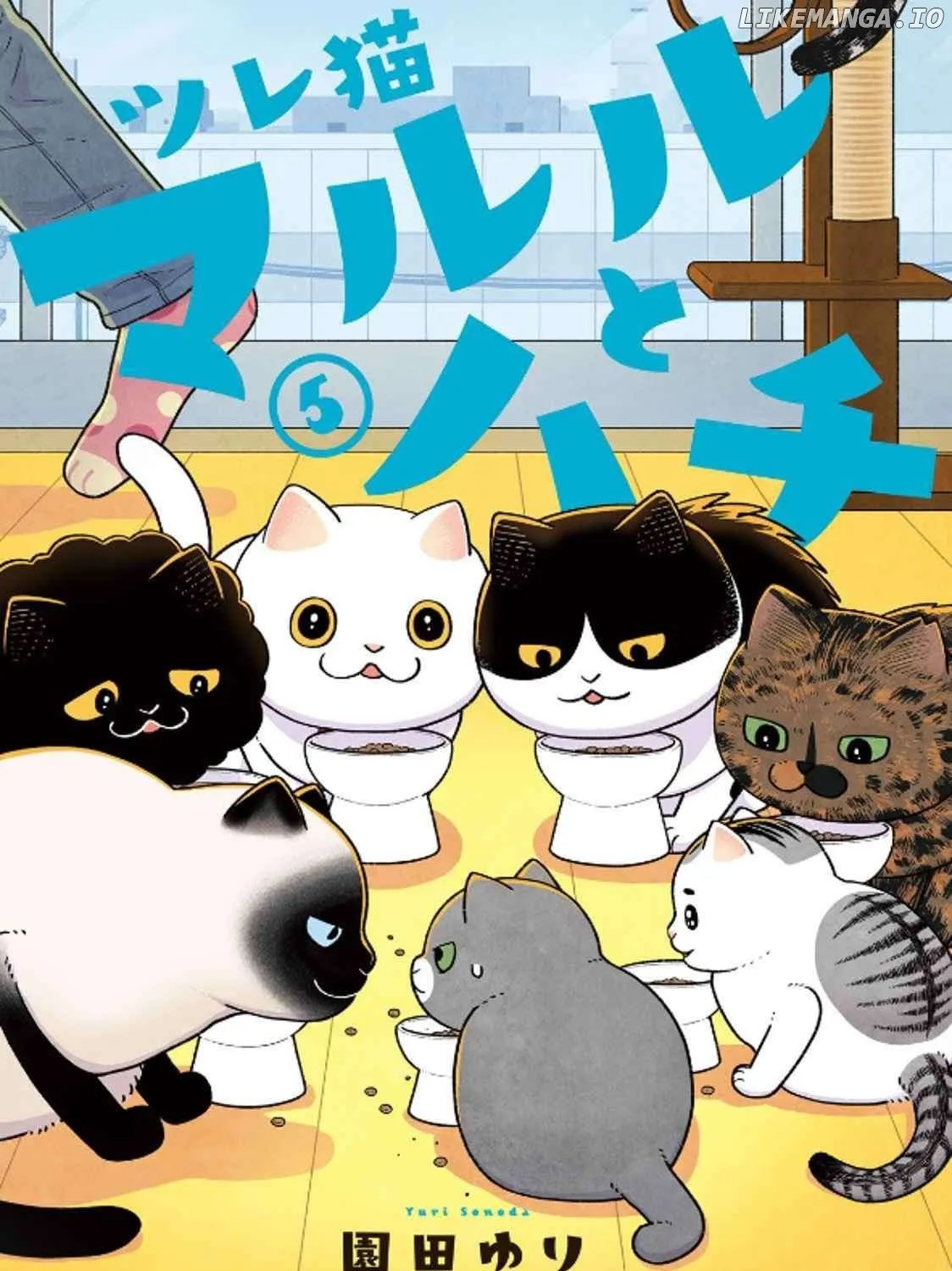 Cat Partners: Maruru And Hachi Chapter 37 page 1 - 