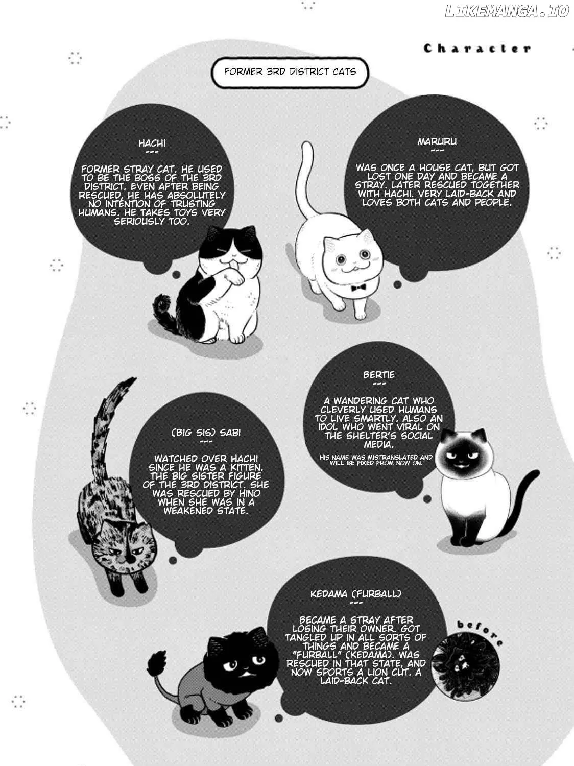 Cat Partners: Maruru And Hachi Chapter 37 page 3 - 