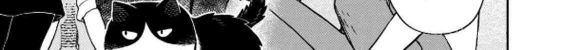 Cat Partners: Maruru And Hachi Chapter 38 page 19 - 