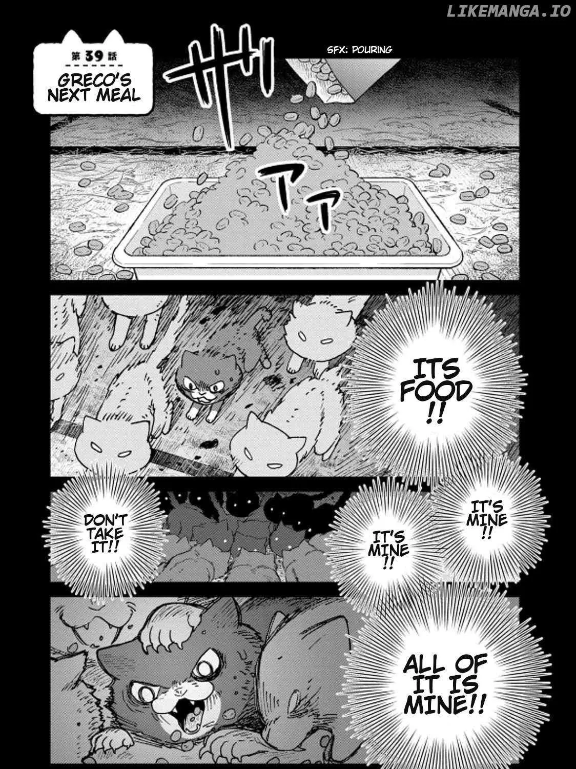 Cat Partners: Maruru And Hachi Chapter 39 page 2 - 