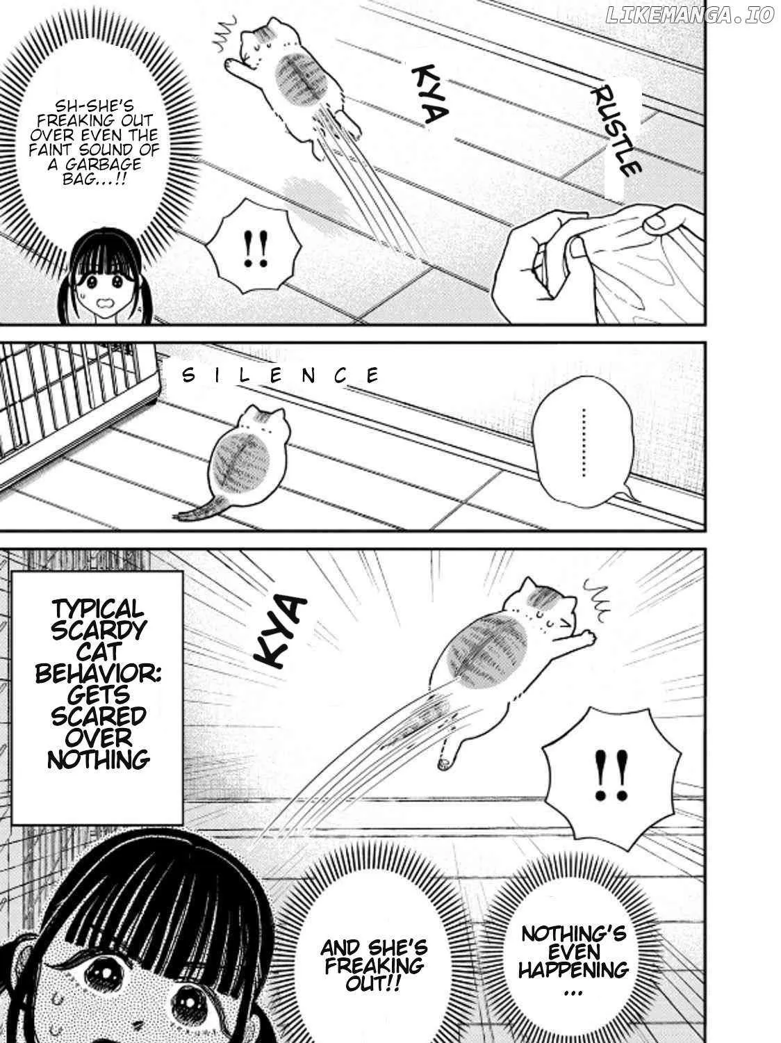 Cat Partners: Maruru And Hachi Chapter 39 page 18 - 