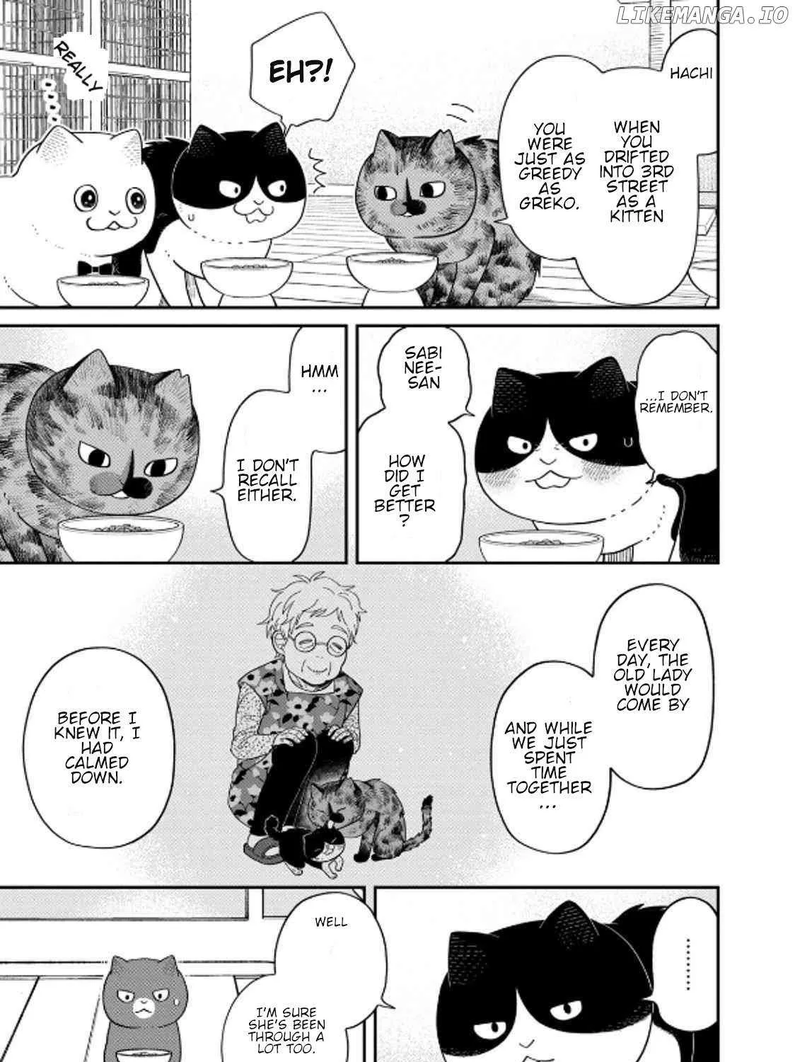 Cat Partners: Maruru And Hachi Chapter 39 page 22 - 