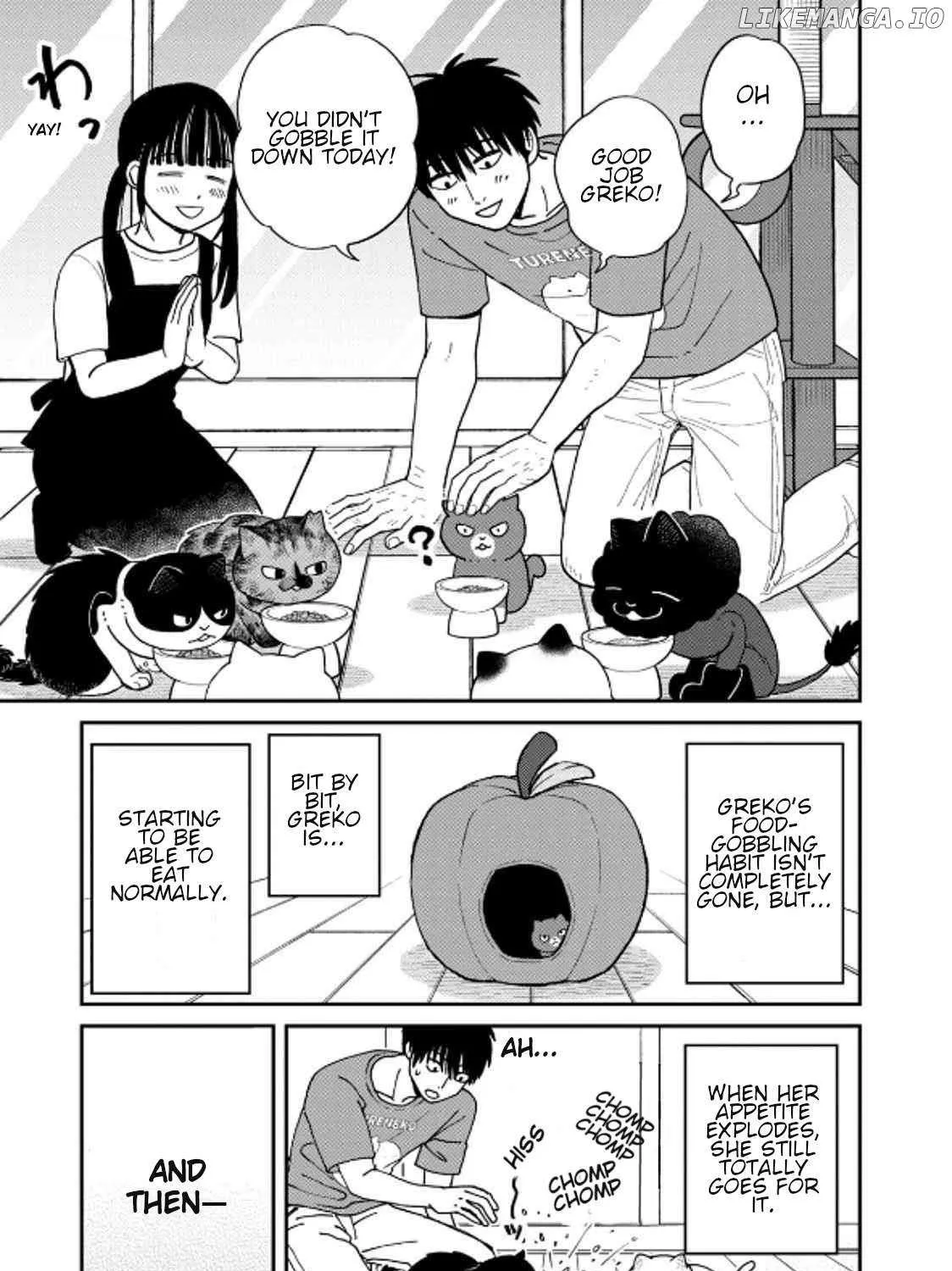 Cat Partners: Maruru And Hachi Chapter 39 page 26 - 