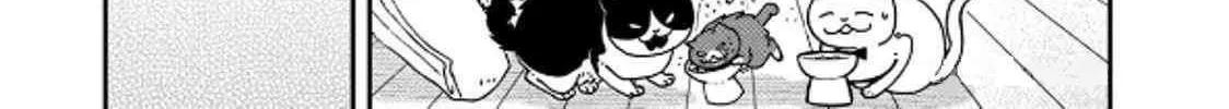 Cat Partners: Maruru And Hachi Chapter 39 page 27 - 