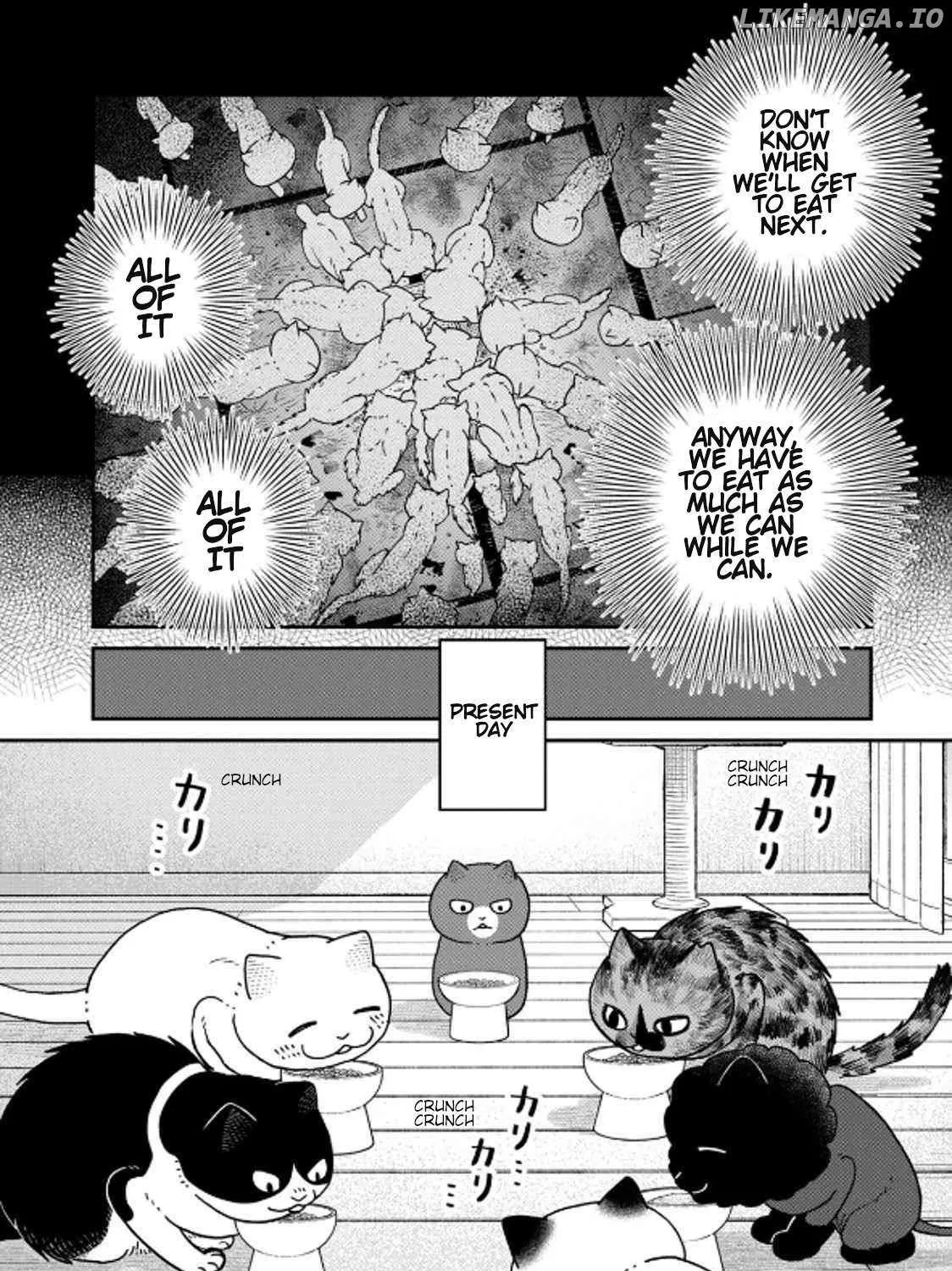 Cat Partners: Maruru And Hachi Chapter 39 page 4 - 