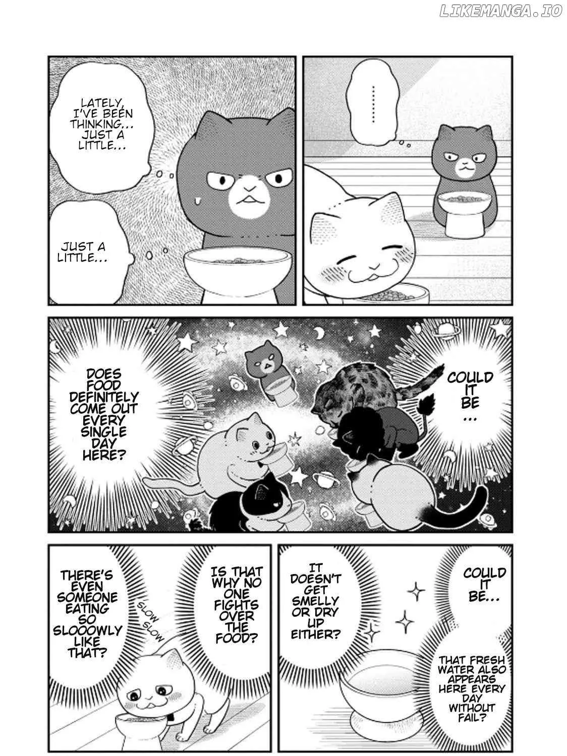 Cat Partners: Maruru And Hachi Chapter 39 page 6 - 