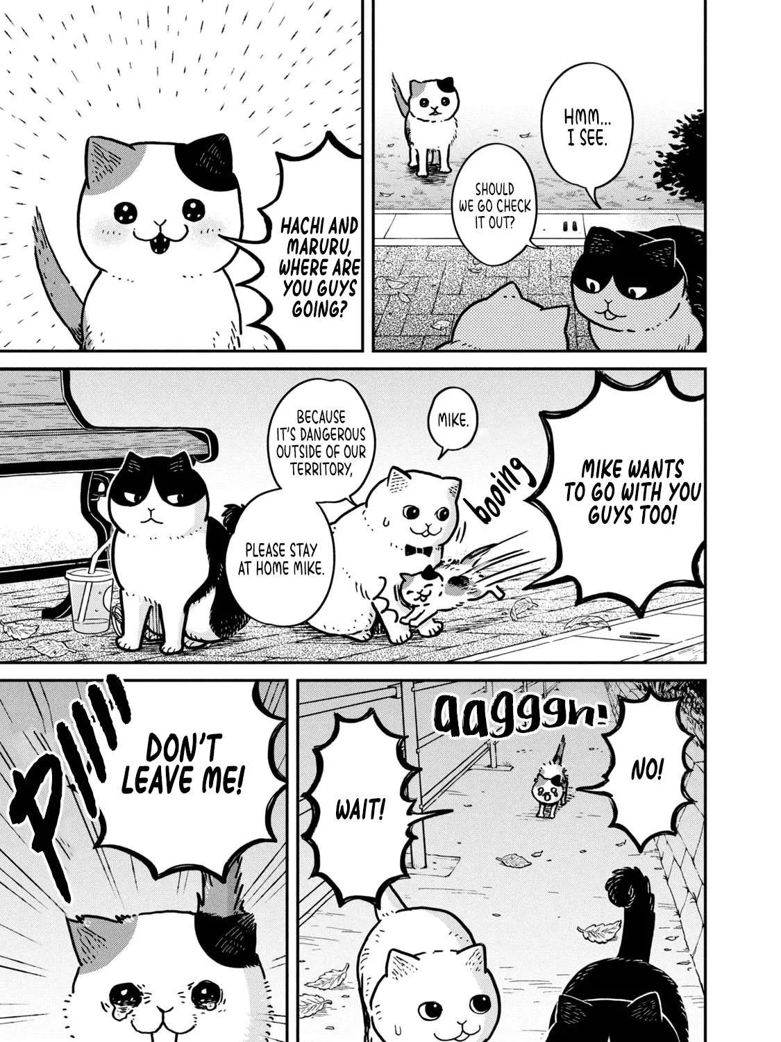 Cat Partners: Maruru And Hachi Chapter 4 page 13 - 