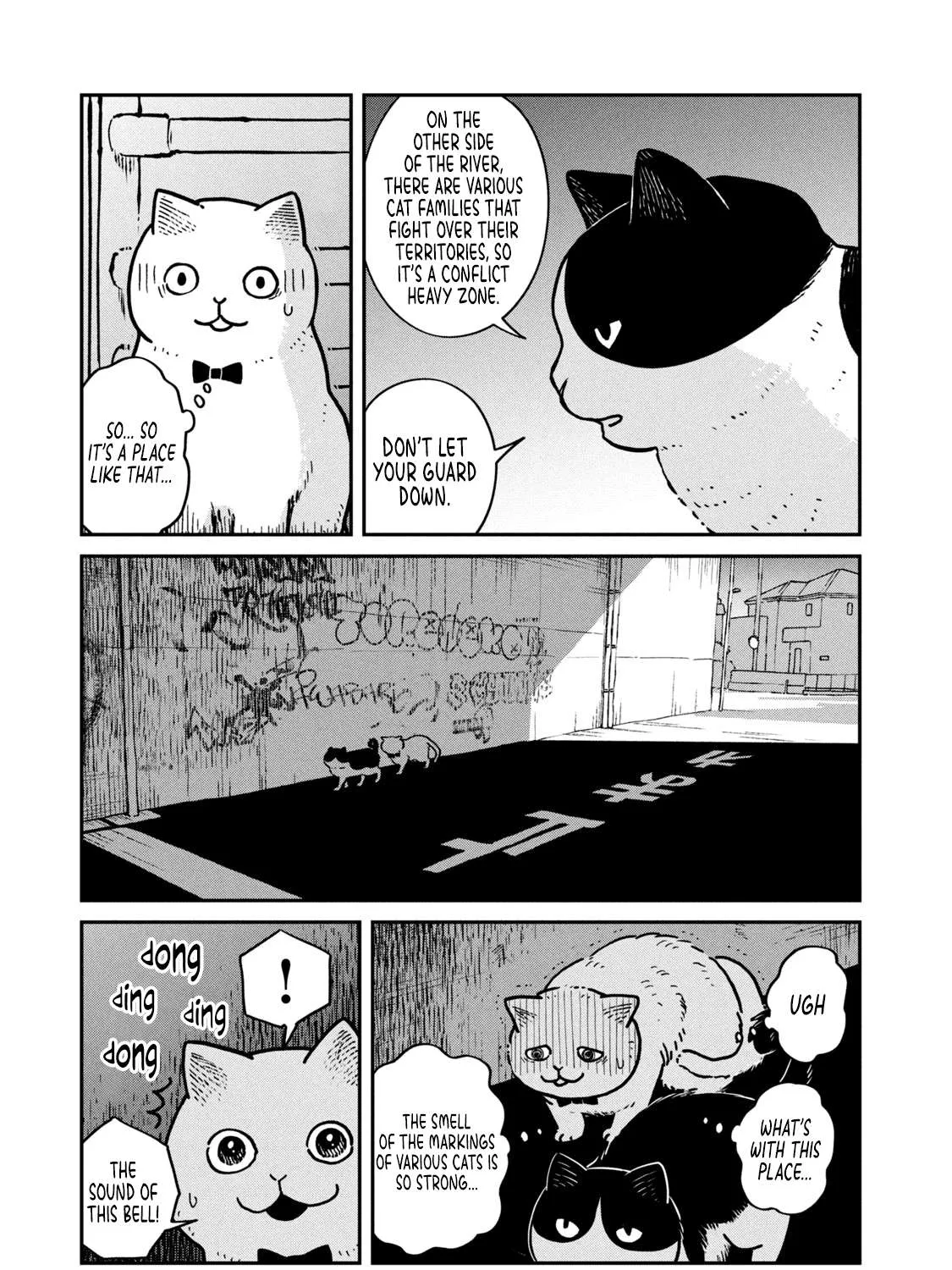 Cat Partners: Maruru And Hachi Chapter 4 page 17 - 