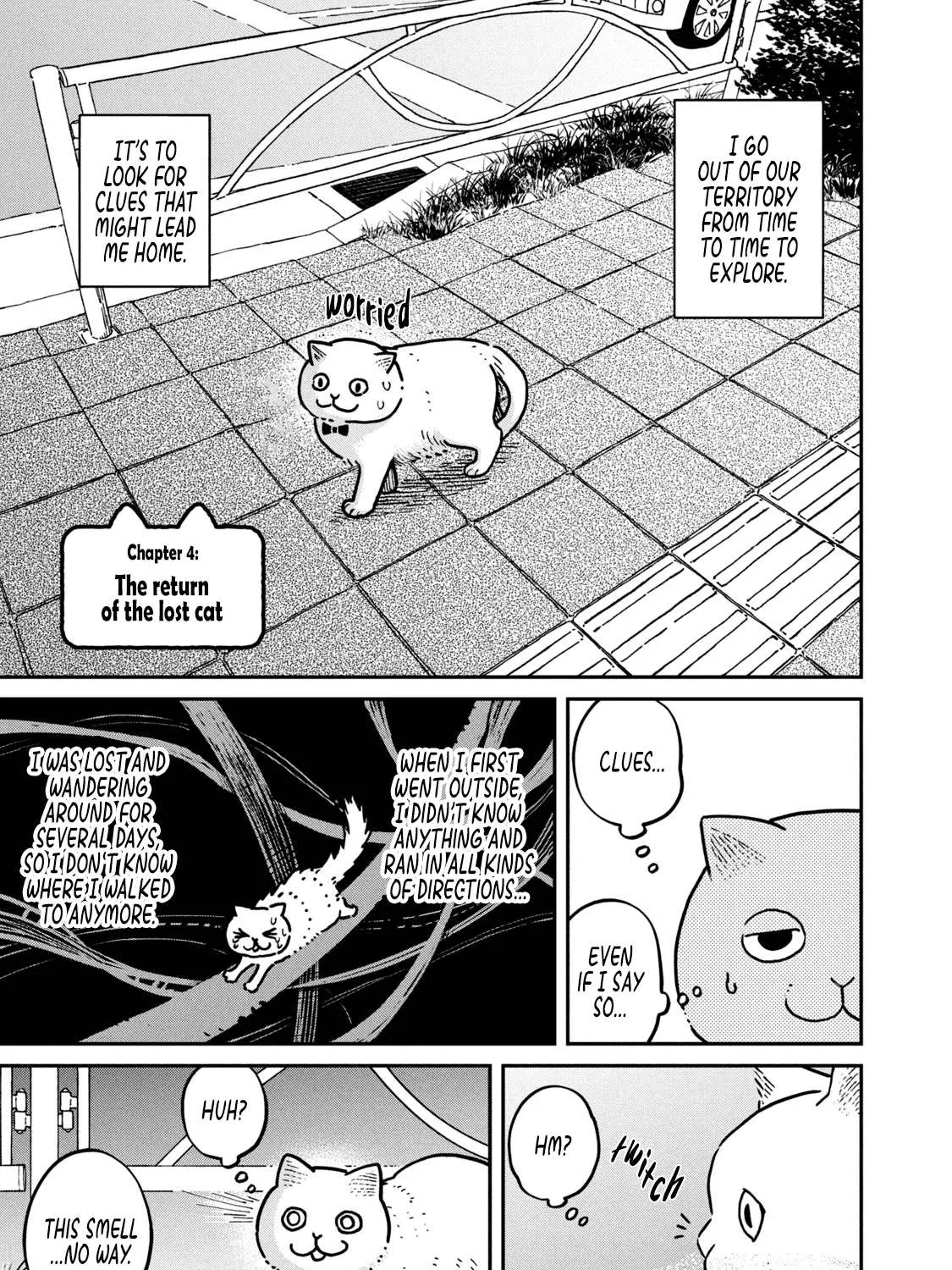 Cat Partners: Maruru And Hachi Chapter 4 page 3 - 