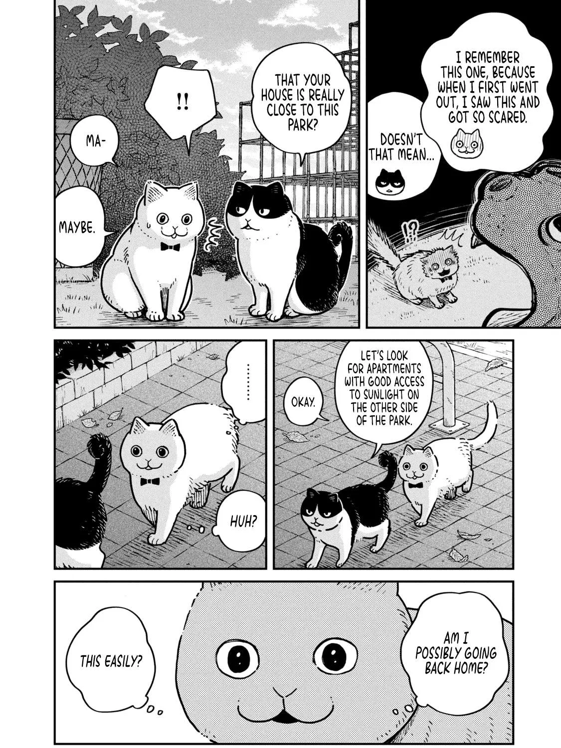 Cat Partners: Maruru And Hachi Chapter 4 page 23 - 