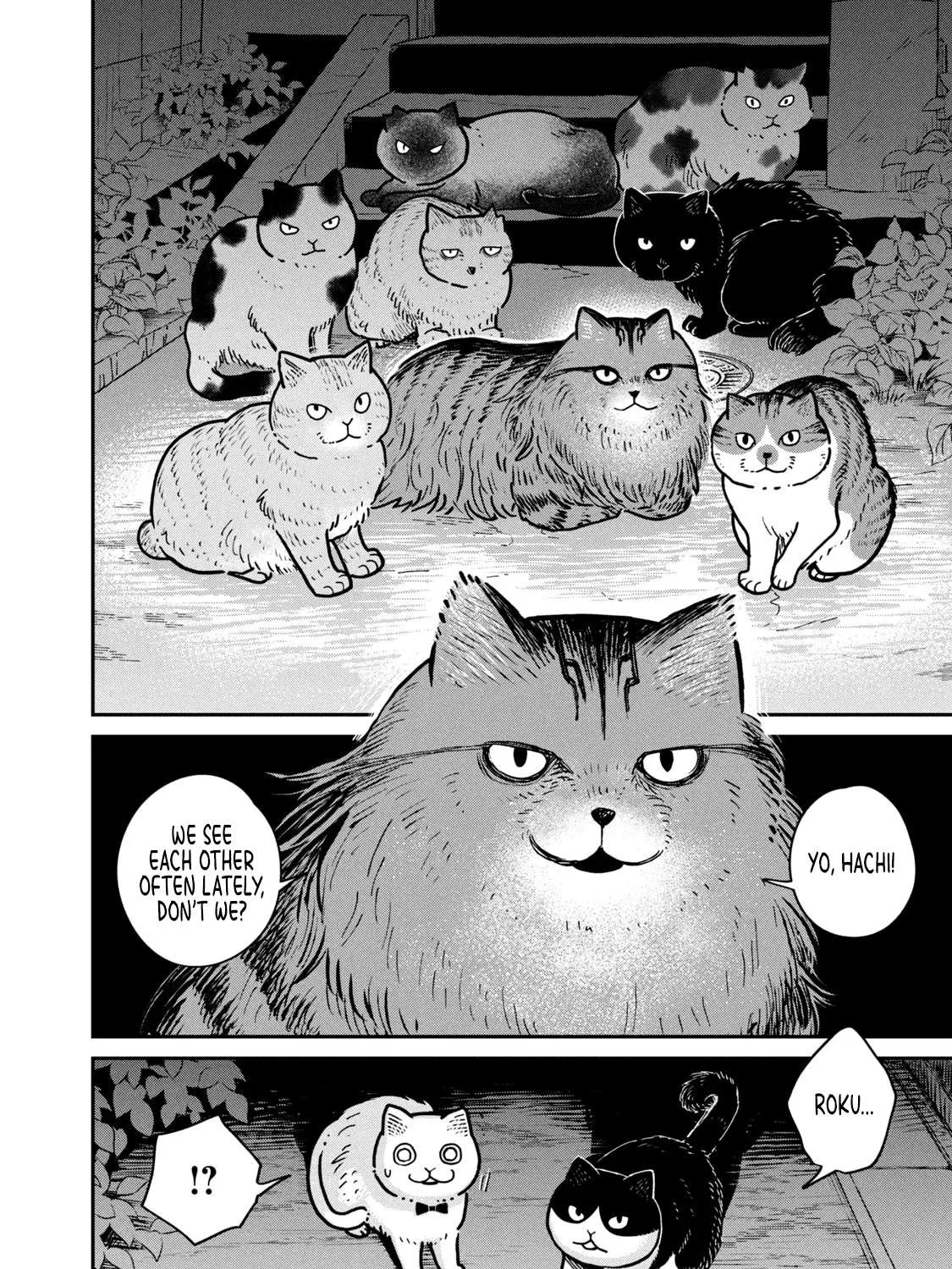 Cat Partners: Maruru And Hachi Chapter 4 page 27 - 