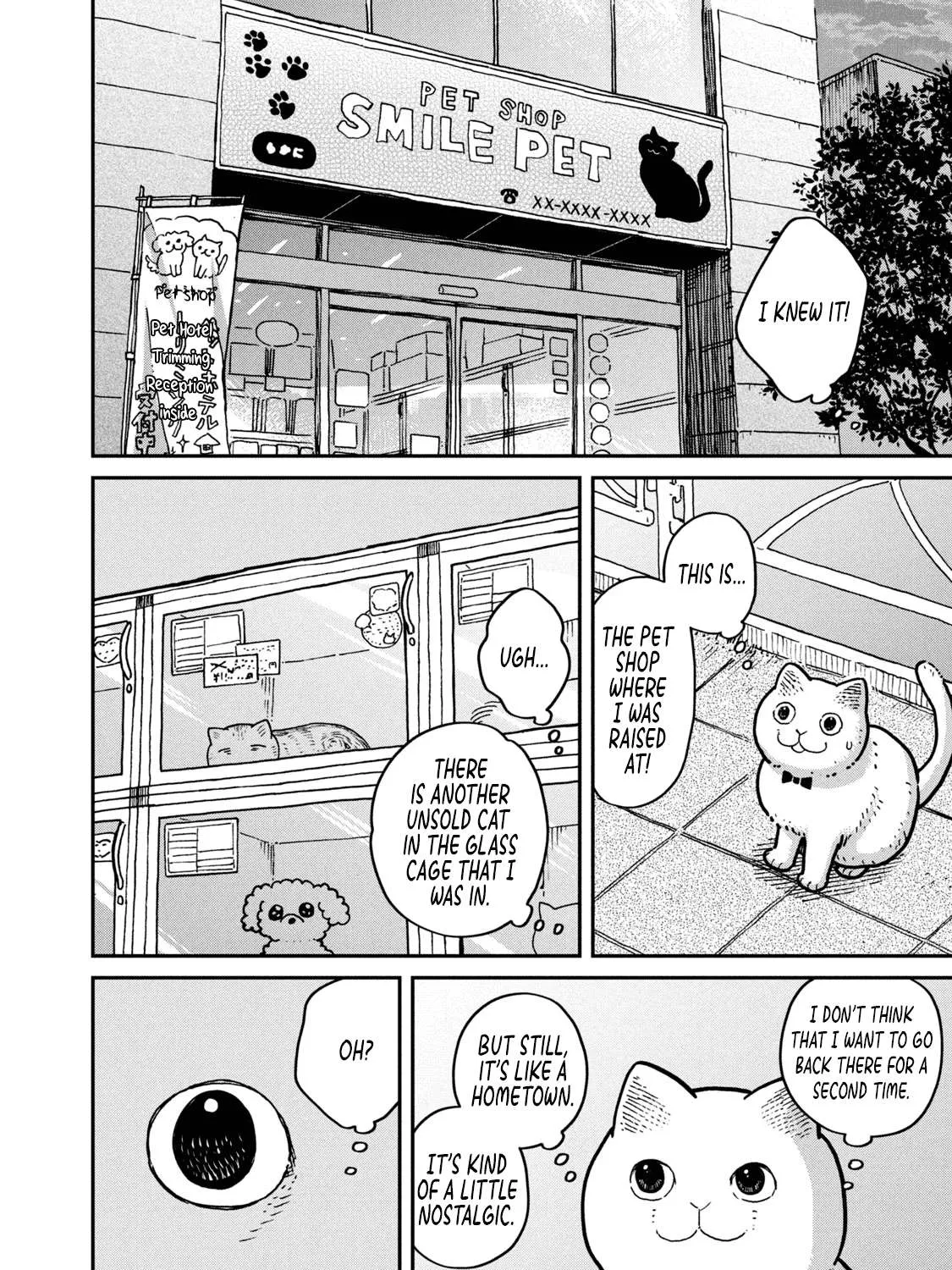 Cat Partners: Maruru And Hachi Chapter 4 page 5 - 