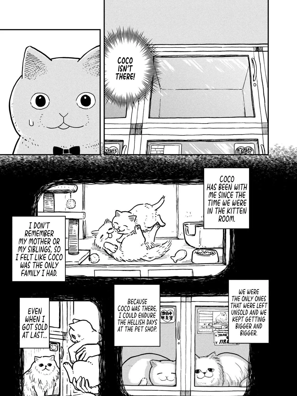 Cat Partners: Maruru And Hachi Chapter 4 page 7 - 