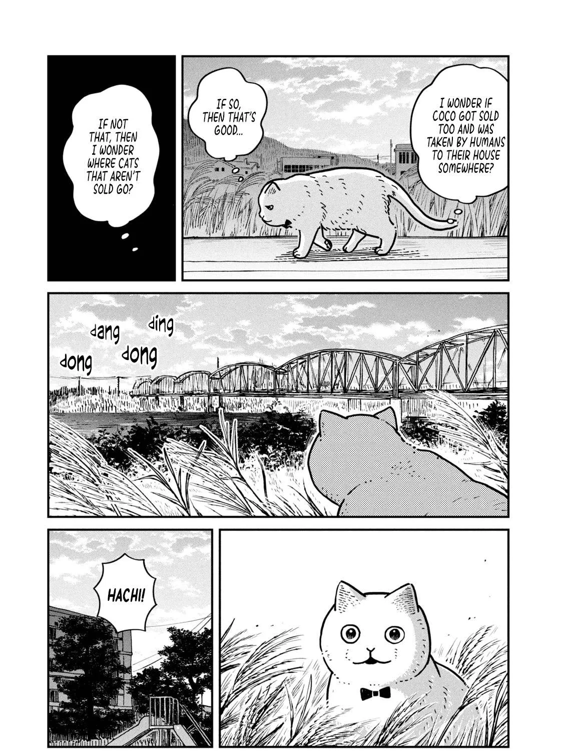 Cat Partners: Maruru And Hachi Chapter 4 page 9 - 