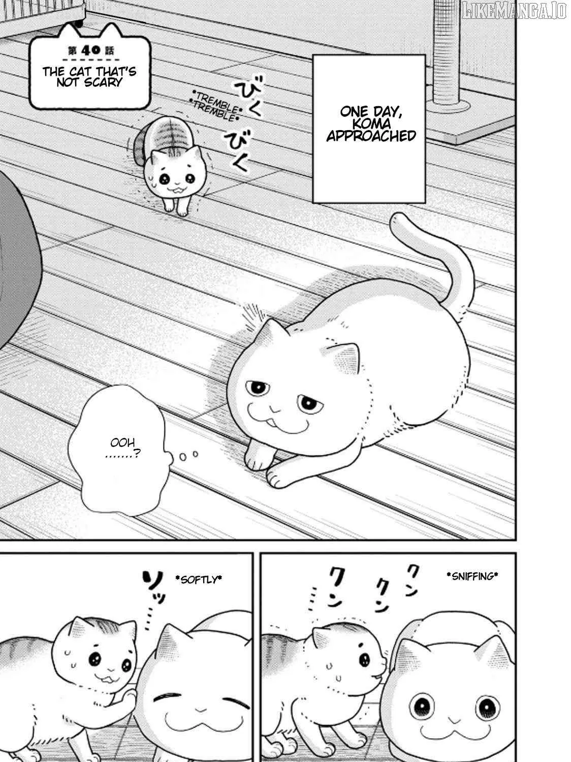 Cat Partners: Maruru And Hachi Chapter 40 page 1 - 