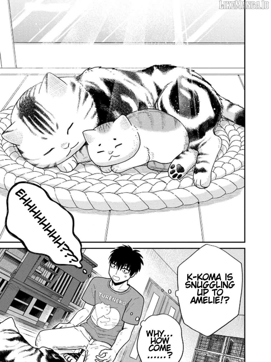 Cat Partners: Maruru And Hachi Chapter 40 page 17 - 