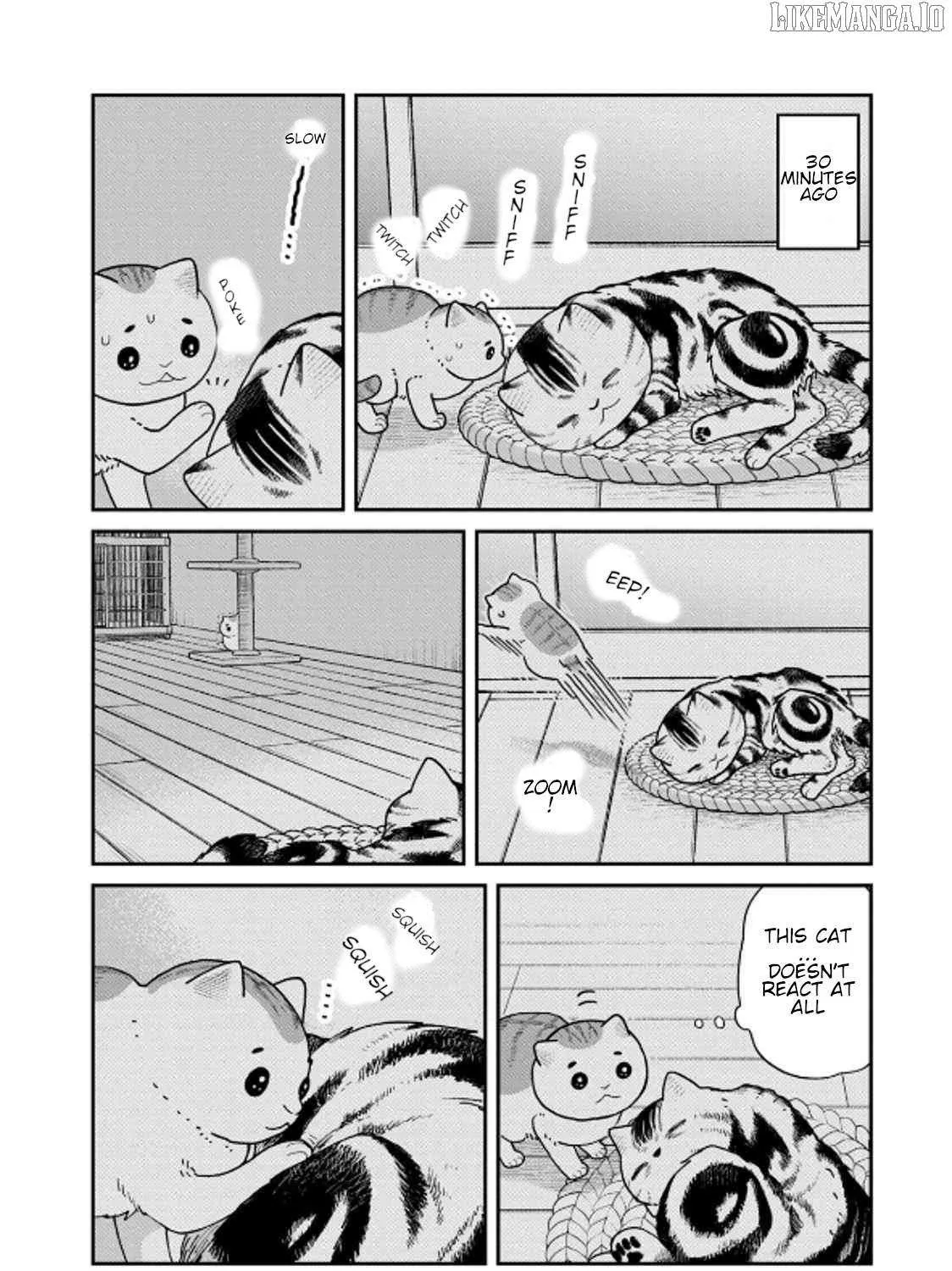 Cat Partners: Maruru And Hachi Chapter 40 page 19 - 