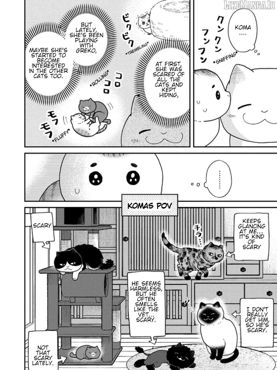 Cat Partners: Maruru And Hachi Chapter 40 page 3 - 