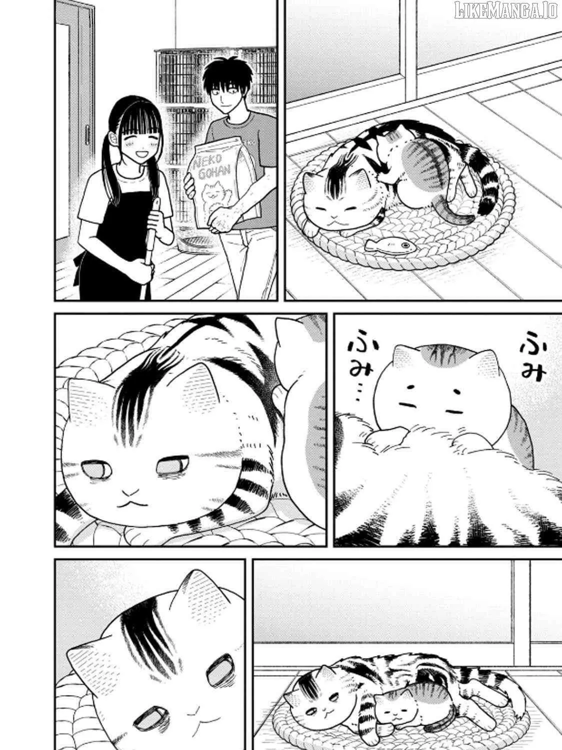 Cat Partners: Maruru And Hachi Chapter 40 page 23 - 