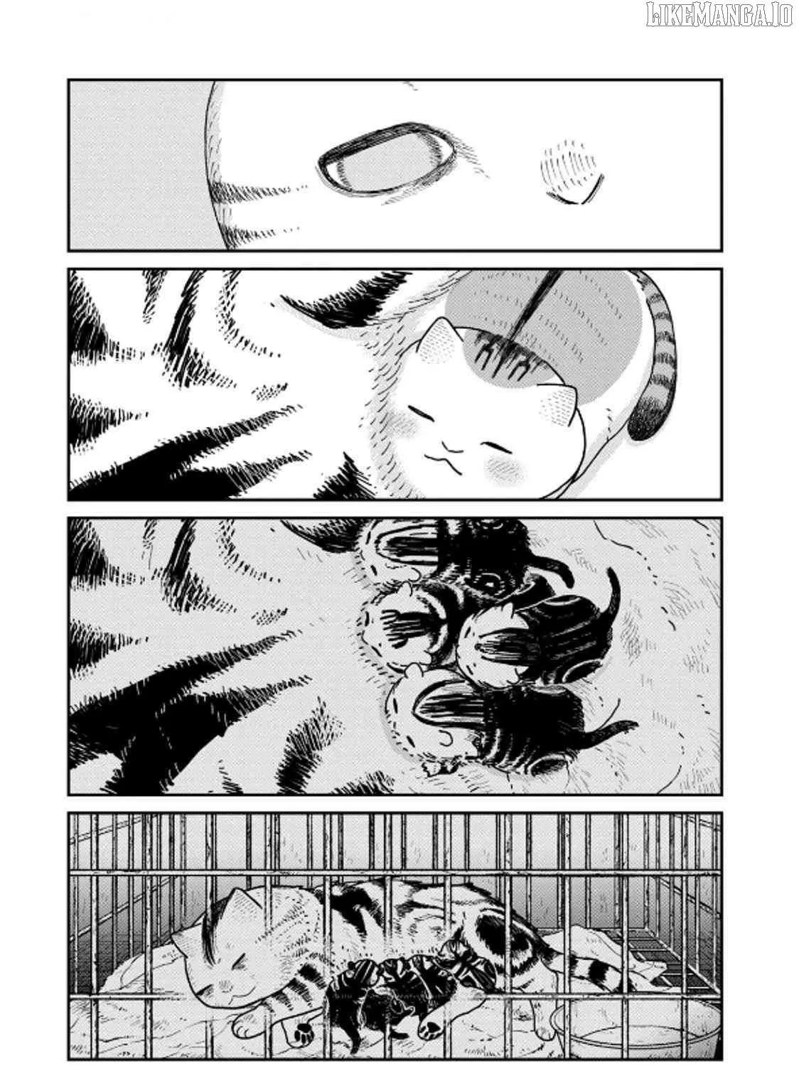 Cat Partners: Maruru And Hachi Chapter 40 page 25 - 