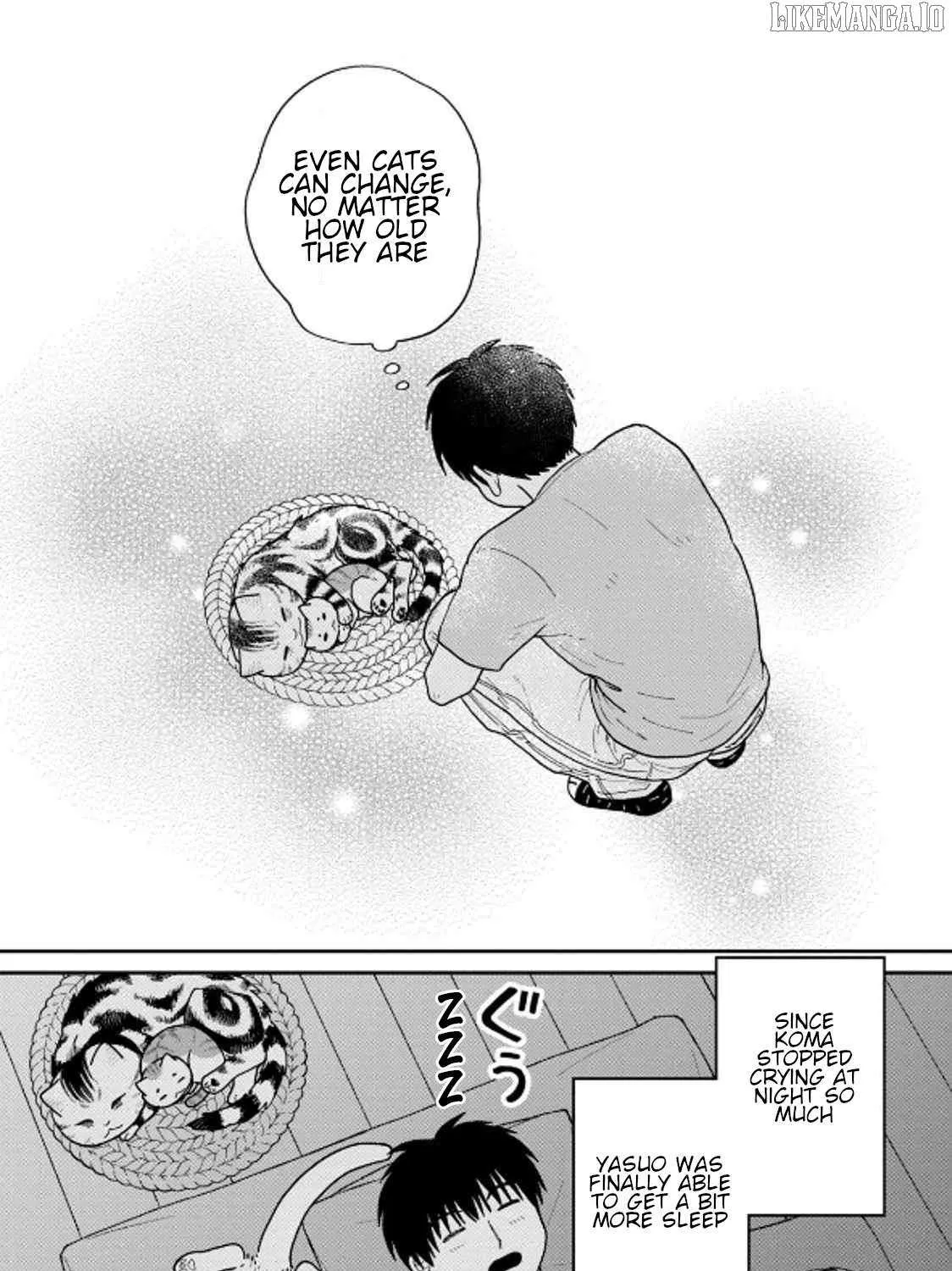 Cat Partners: Maruru And Hachi Chapter 40 page 33 - 