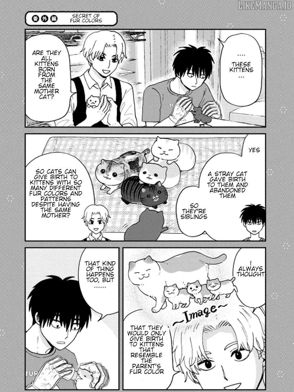 Cat Partners: Maruru And Hachi Chapter 40 page 37 - 
