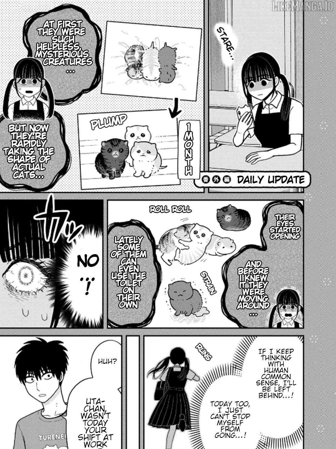 Cat Partners: Maruru And Hachi Chapter 40 page 41 - 