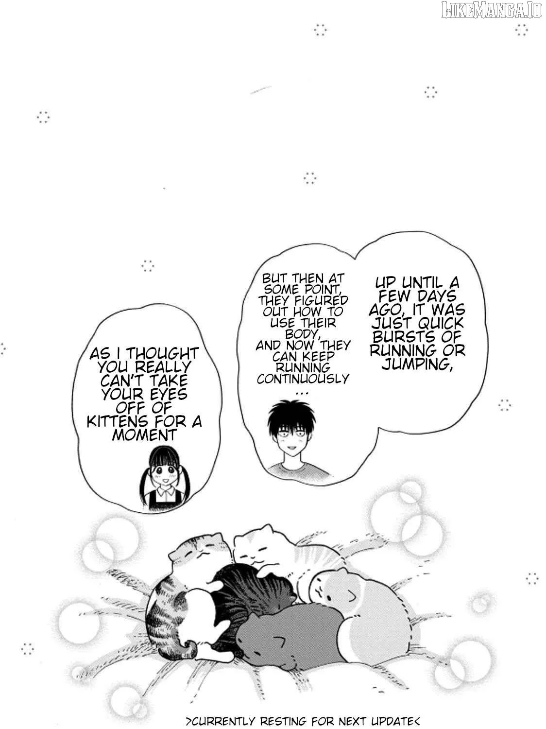 Cat Partners: Maruru And Hachi Chapter 40 page 45 - 