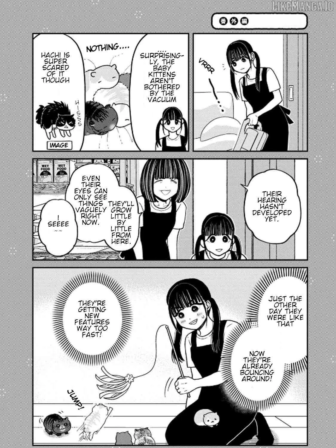 Cat Partners: Maruru And Hachi Chapter 40 page 47 - 