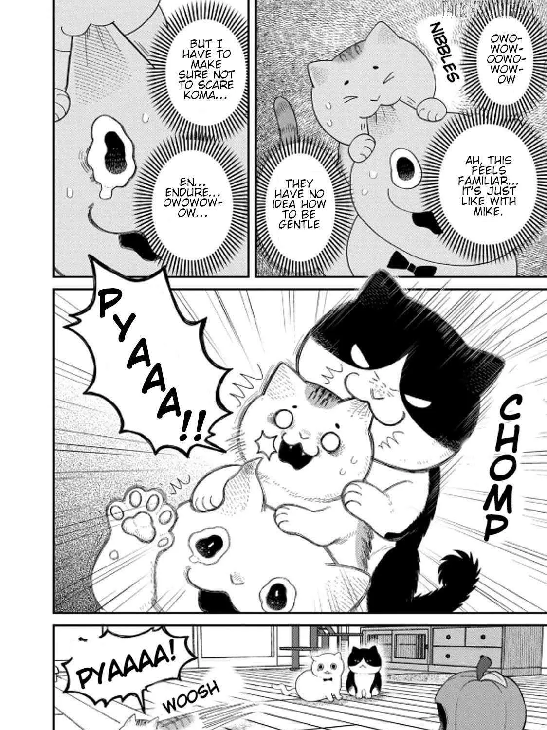 Cat Partners: Maruru And Hachi Chapter 40 page 7 - 