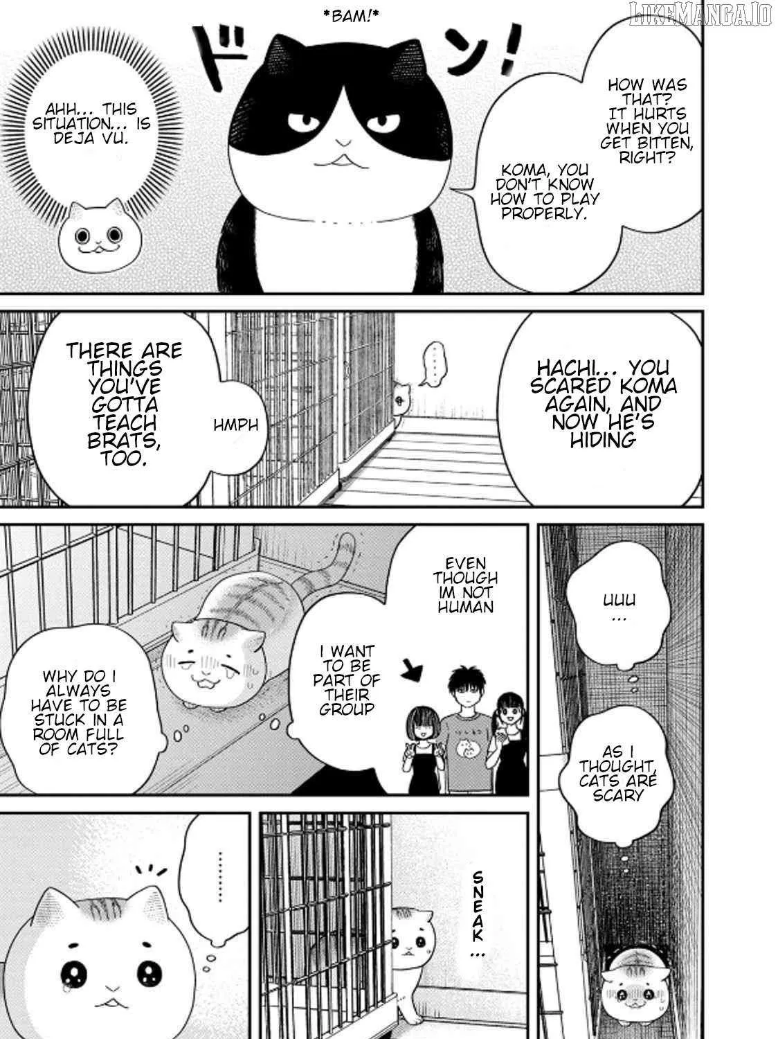 Cat Partners: Maruru And Hachi Chapter 40 page 9 - 