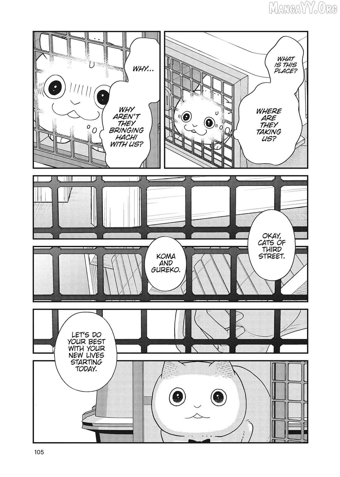 Cat Partners: Maruru And Hachi Chapter 41 page 11 - 