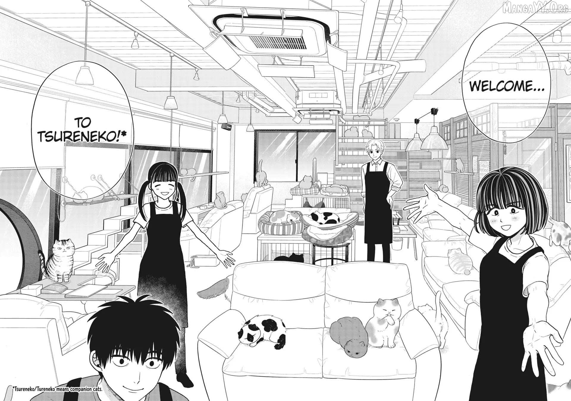 Cat Partners: Maruru And Hachi Chapter 41 page 12 - 