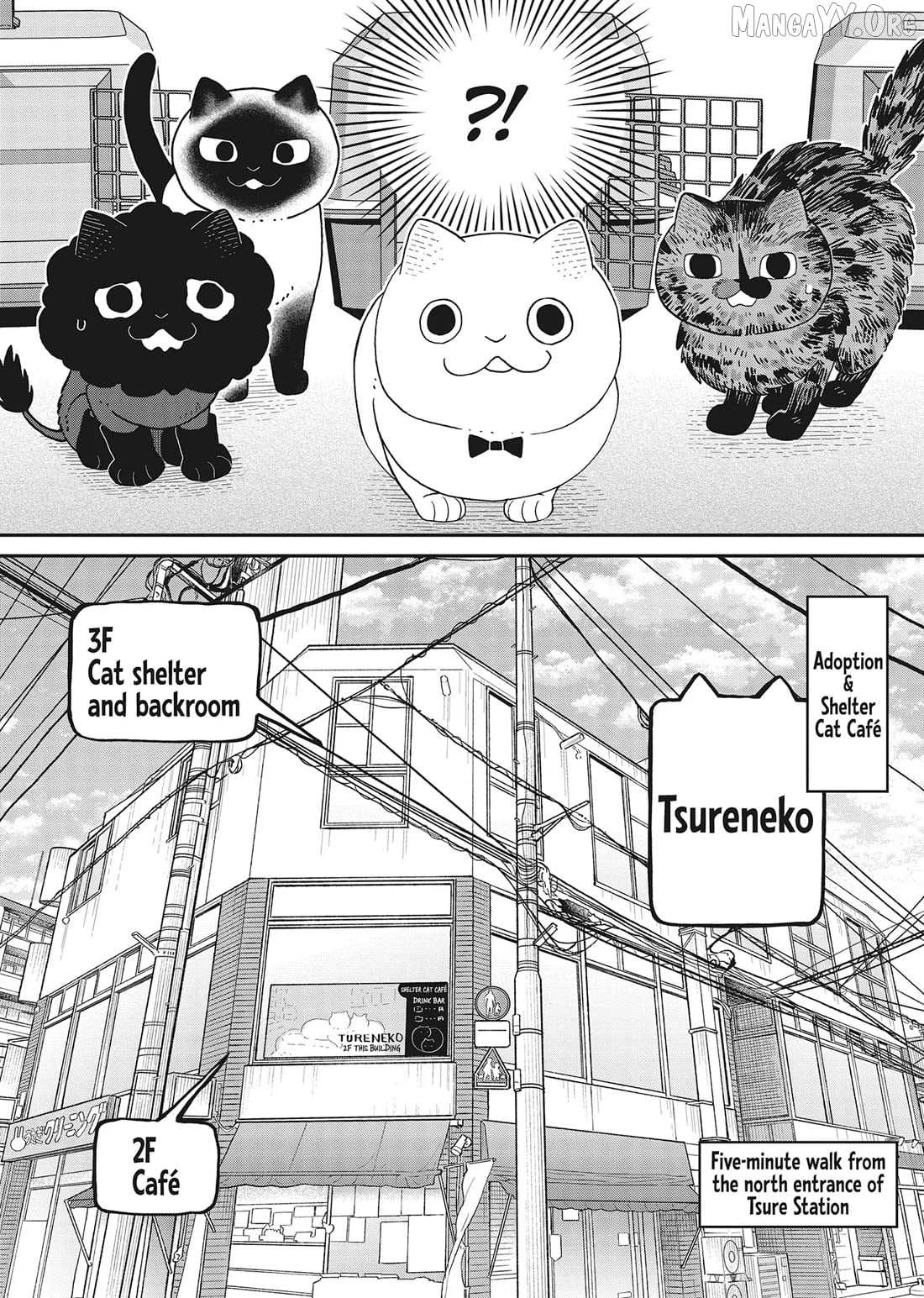 Cat Partners: Maruru And Hachi Chapter 41 page 13 - 