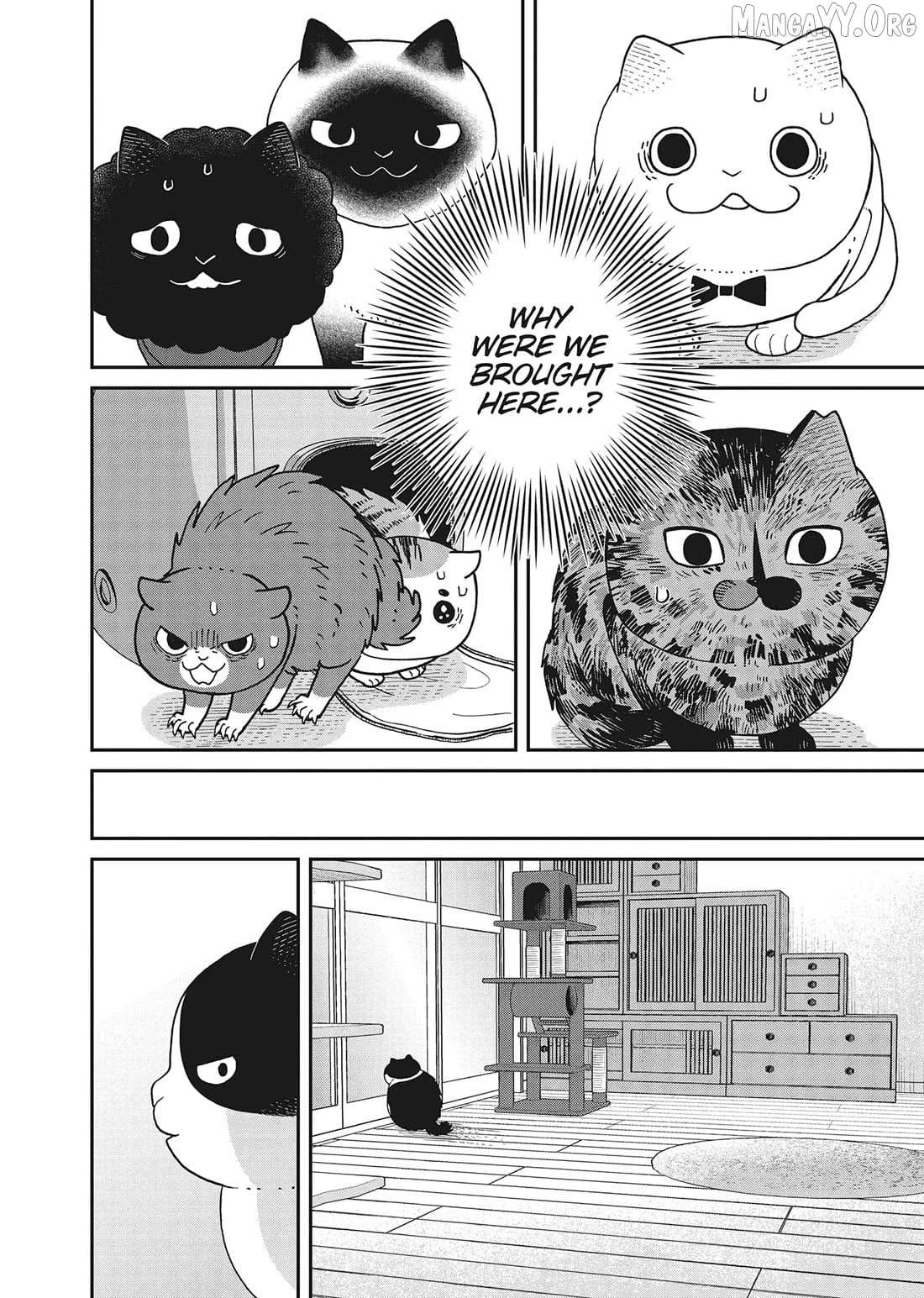 Cat Partners: Maruru And Hachi Chapter 41 page 15 - 