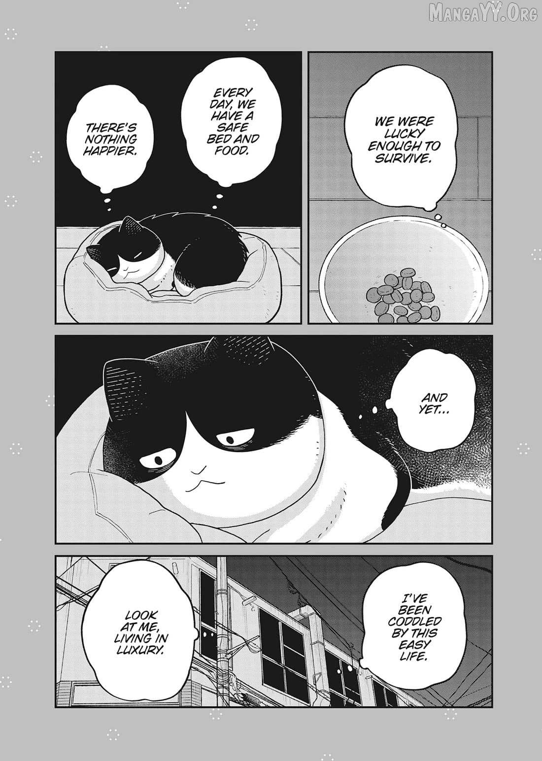 Cat Partners: Maruru And Hachi Chapter 41 page 18 - 
