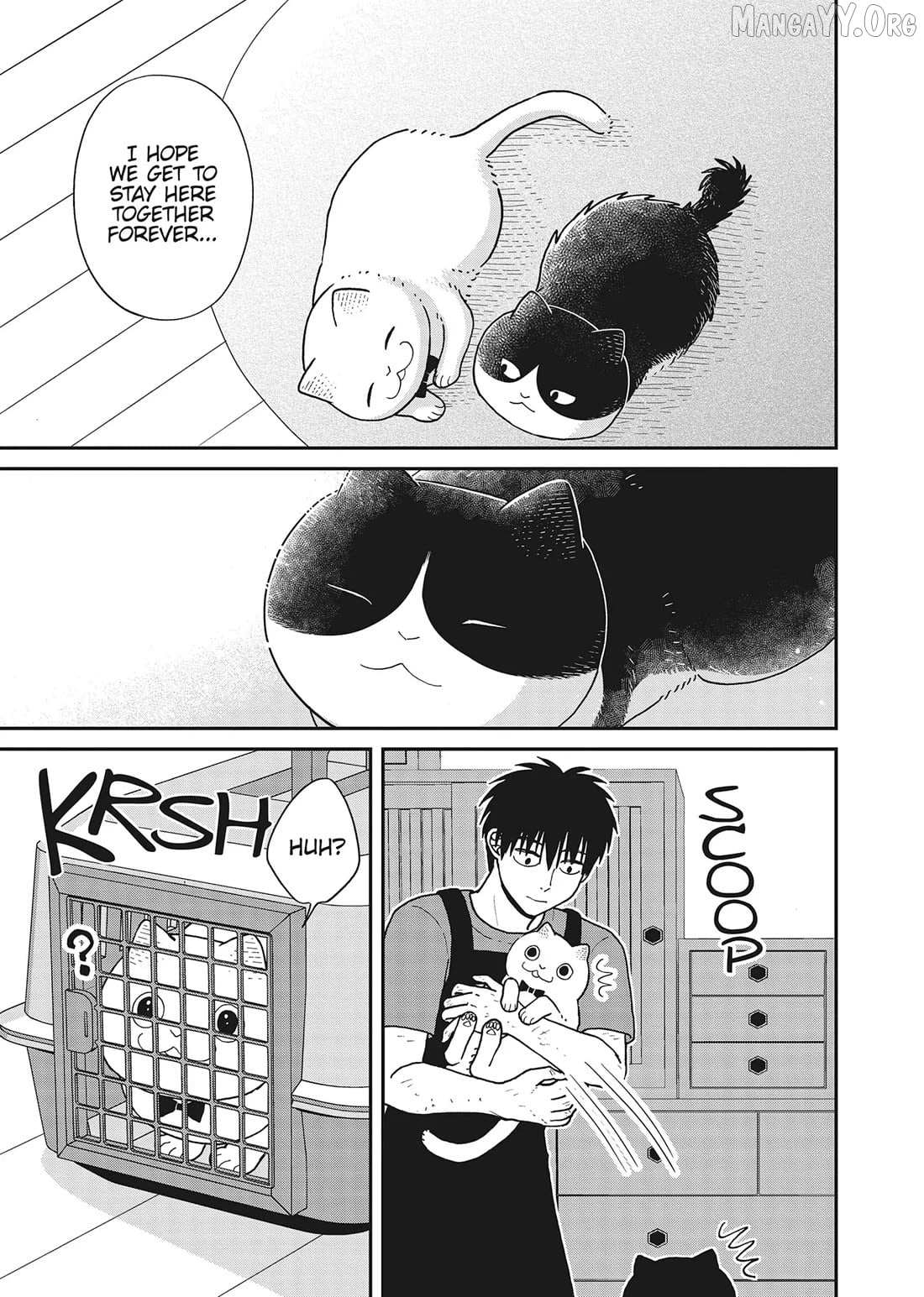 Cat Partners: Maruru And Hachi Chapter 41 page 7 - 