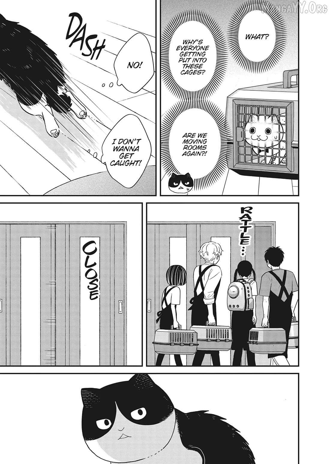 Cat Partners: Maruru And Hachi Chapter 41 page 9 - 