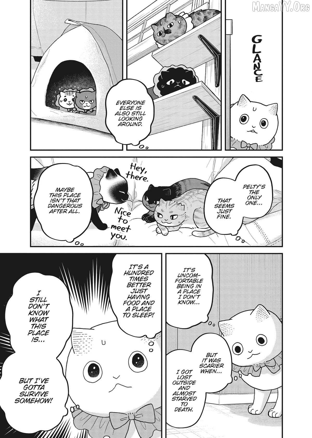 Cat Partners: Maruru And Hachi Chapter 42 page 5 - 