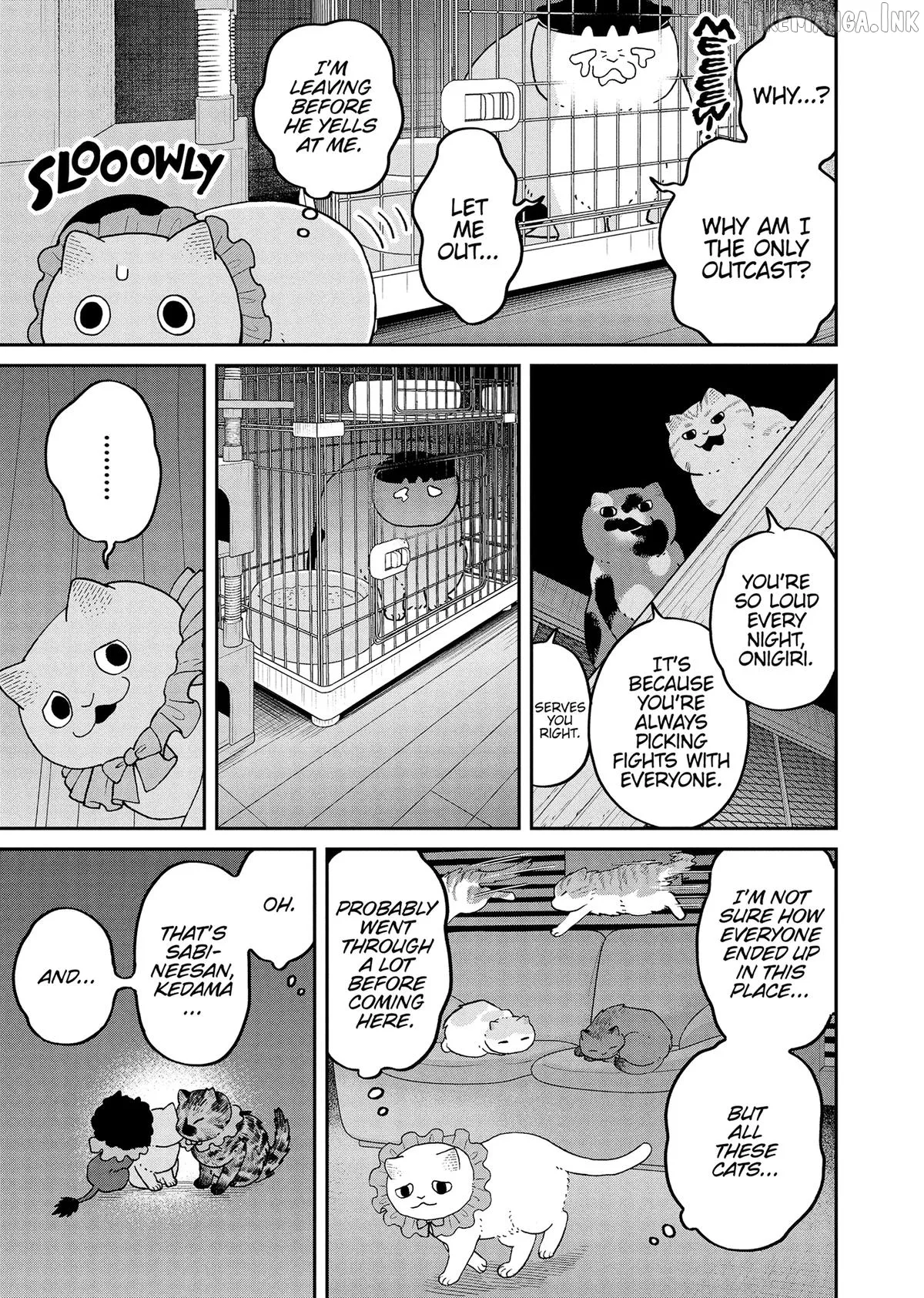 Cat Partners: Maruru And Hachi Chapter 43 page 12 - 