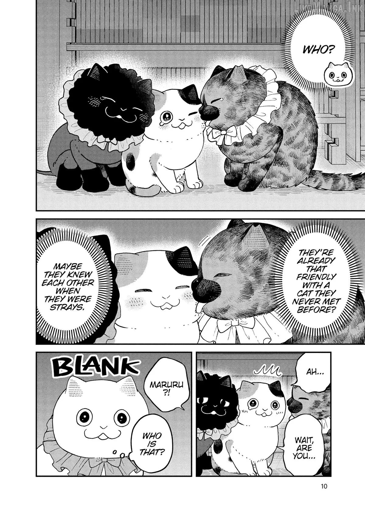 Cat Partners: Maruru And Hachi Chapter 43 page 13 - 