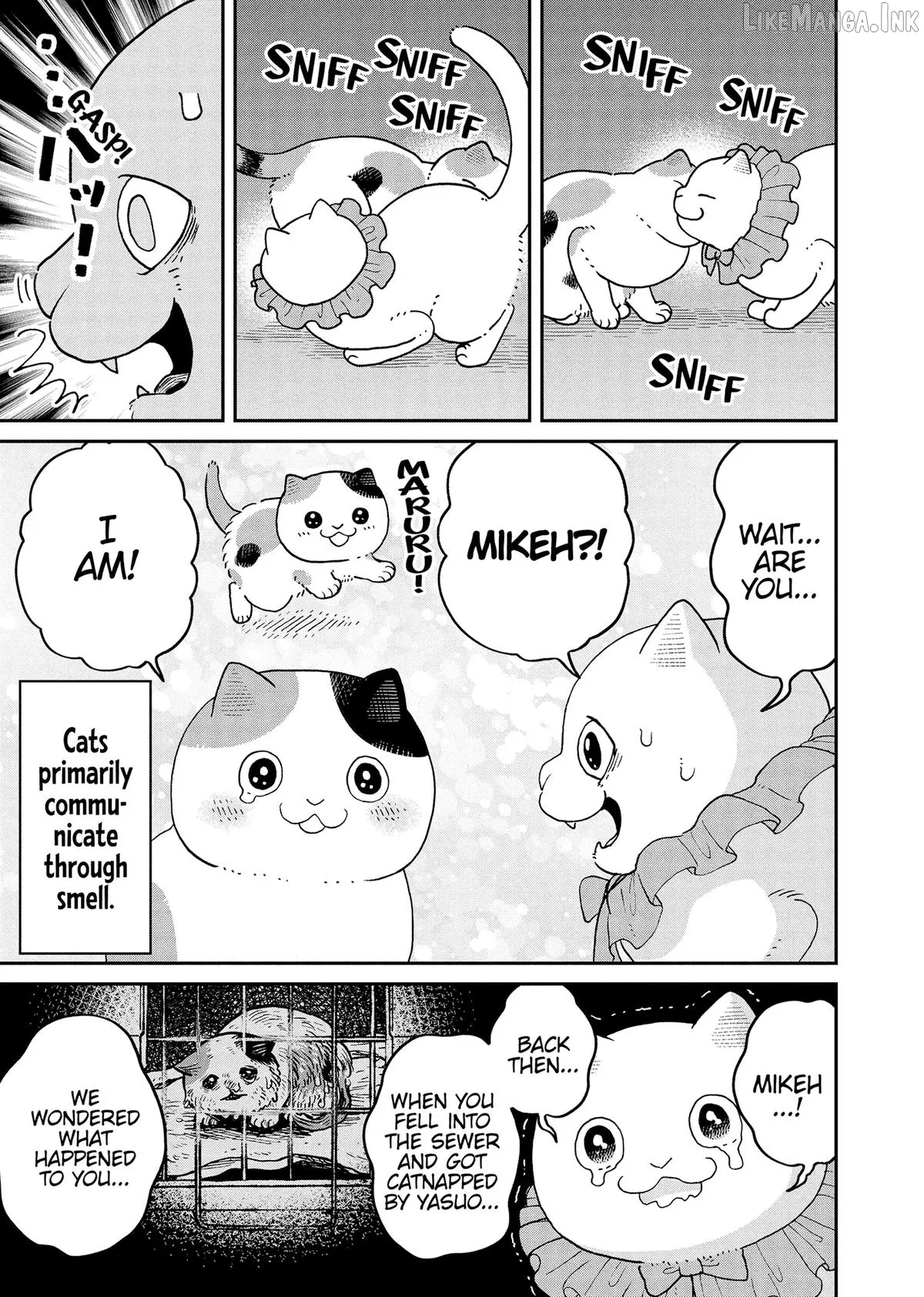 Cat Partners: Maruru And Hachi Chapter 43 page 14 - 