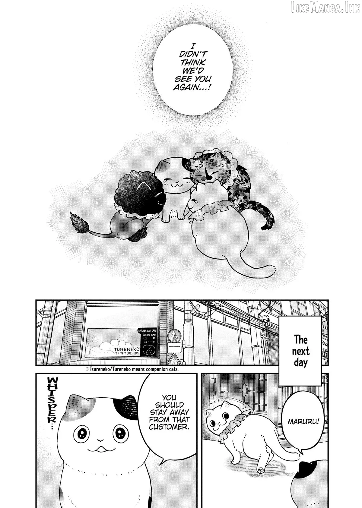 Cat Partners: Maruru And Hachi Chapter 43 page 15 - 