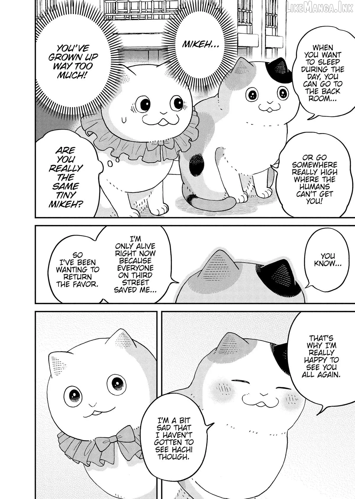 Cat Partners: Maruru And Hachi Chapter 43 page 17 - 