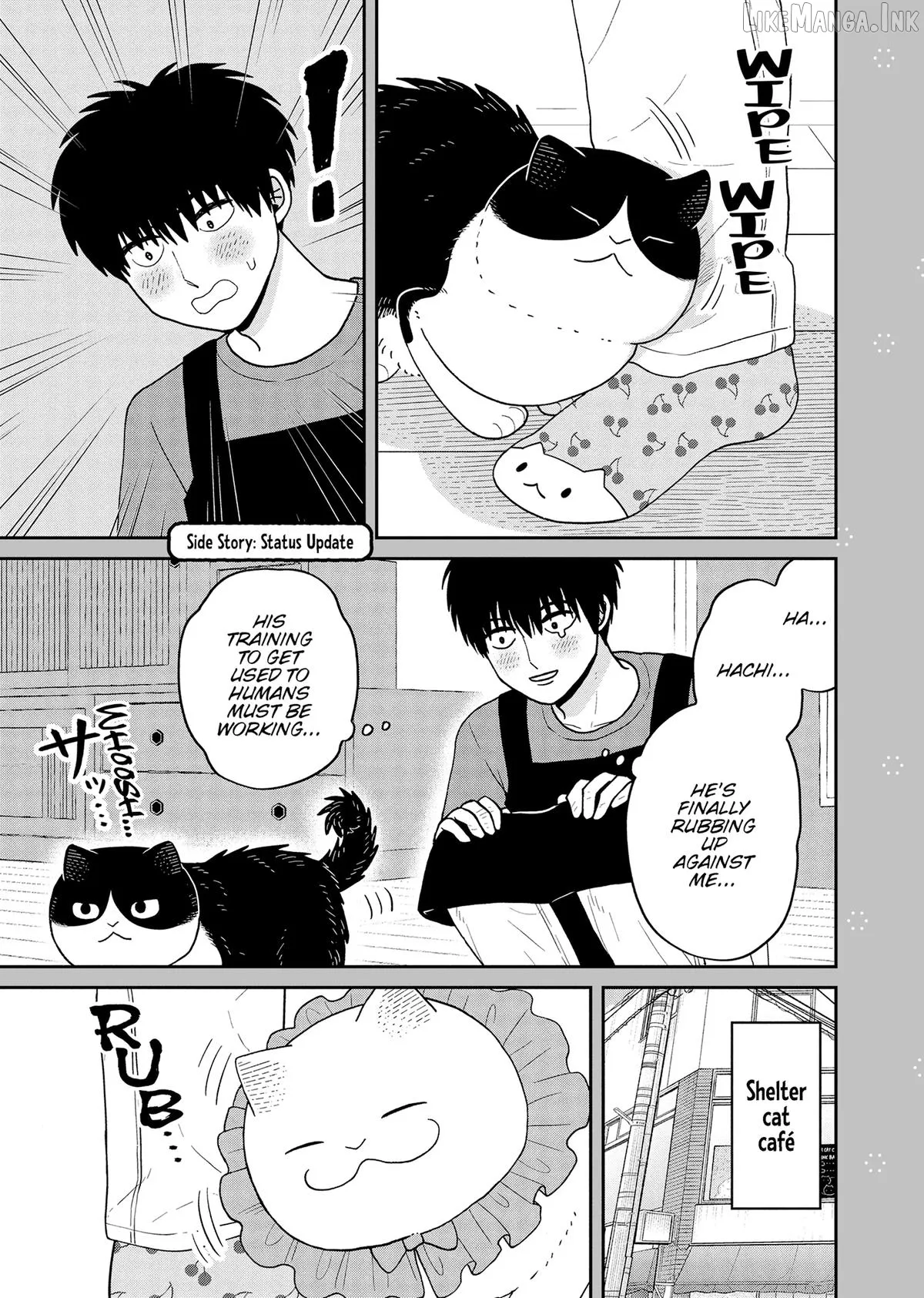 Cat Partners: Maruru And Hachi Chapter 43 page 20 - 