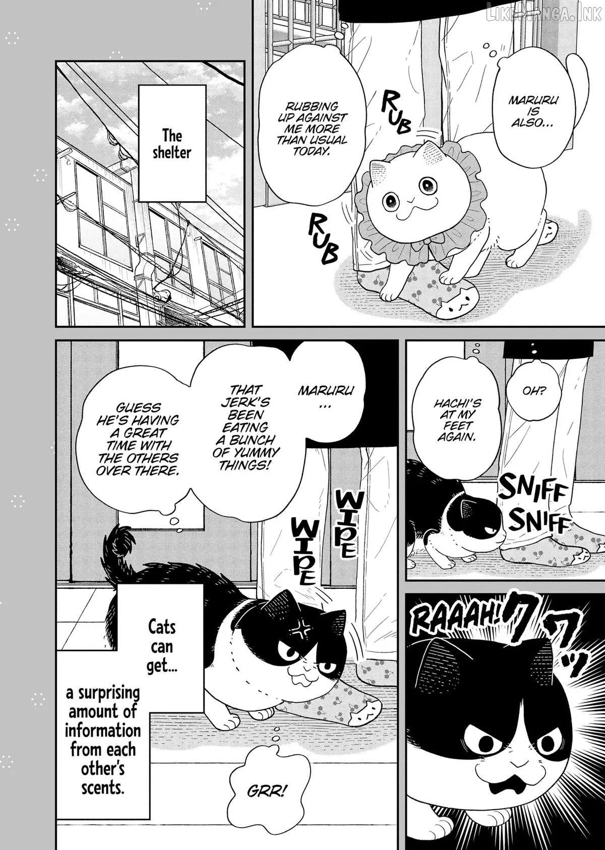 Cat Partners: Maruru And Hachi Chapter 43 page 21 - 