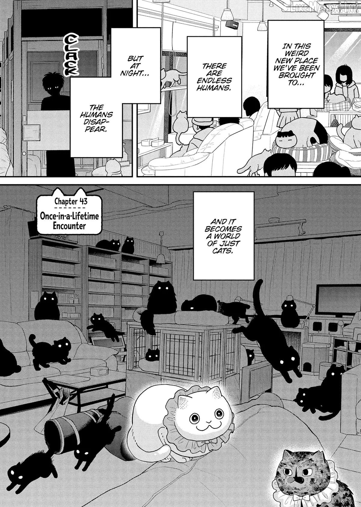 Cat Partners: Maruru And Hachi Chapter 43 page 8 - 